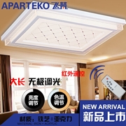 APARTEKO 飛梵簡客廳燈A196 長80*2W/96*2W