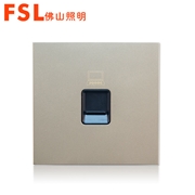 佛山照明 FSL 單電腦插座功能件 F28 (金色)F28系列 FSL開關 佛山電工