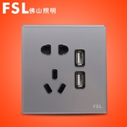 FSL二位USB+10A二三極插座（灰色）F19H-1023/2USB 100×