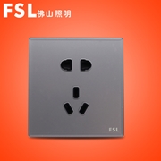 FSL 10A二三極插座(灰色) F19H-1023 100×1