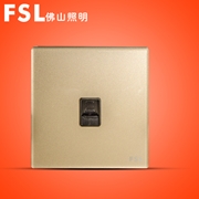 FSL 單電腦插座(金色) F19A-DN 100×1