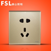 FSL 10A二三極插座 F19-1023 100×1（金色）