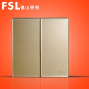 FSL 16A二位雙路開關(金色) F19A-16K2/2 100×1