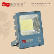 國虎 工程渠道   7070國美滿天星投光燈50W/100W/150W/200W